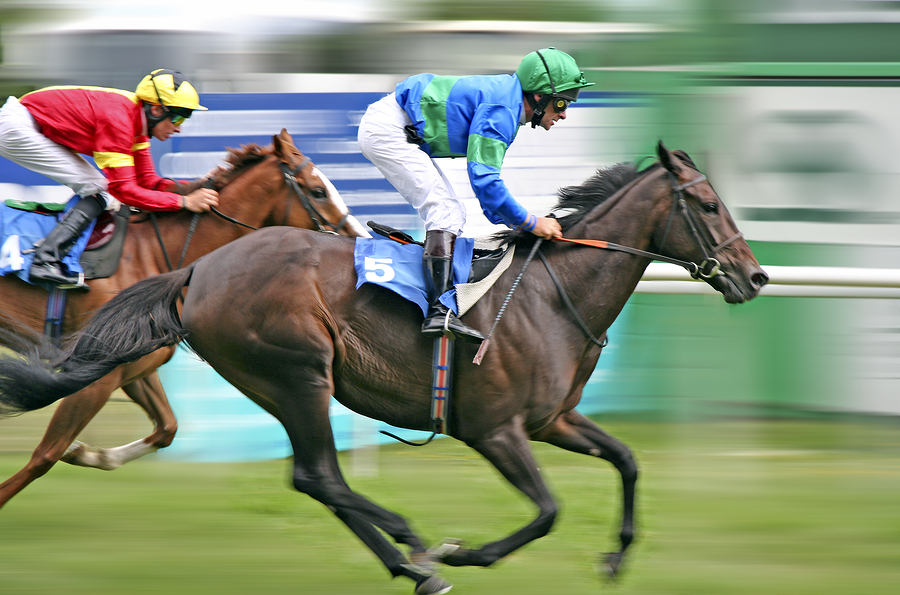 Horses Racing